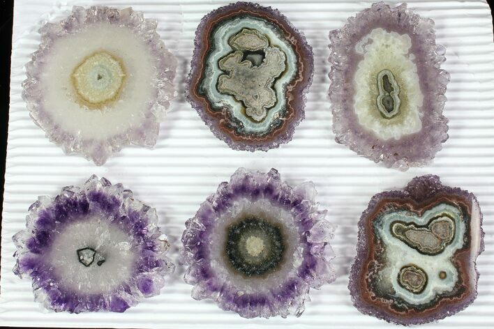 Lot: to Amethyst Stalactite Slices ( Pieces) #77699